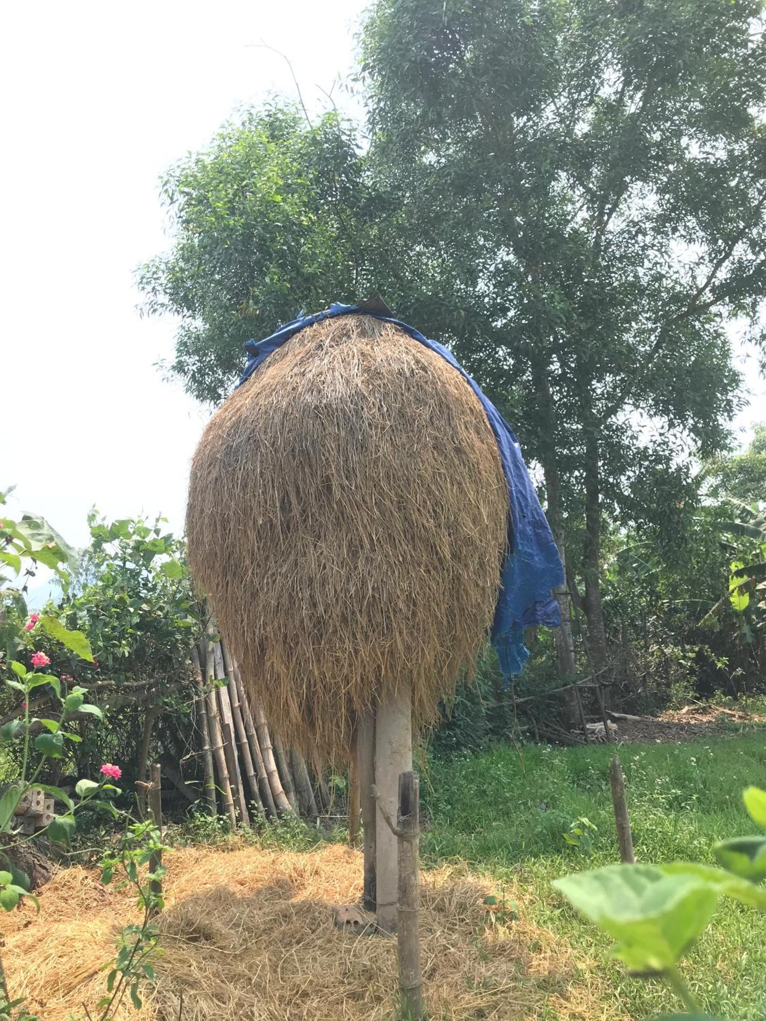 Happy Field Homestay Phong Nha Zewnętrze zdjęcie